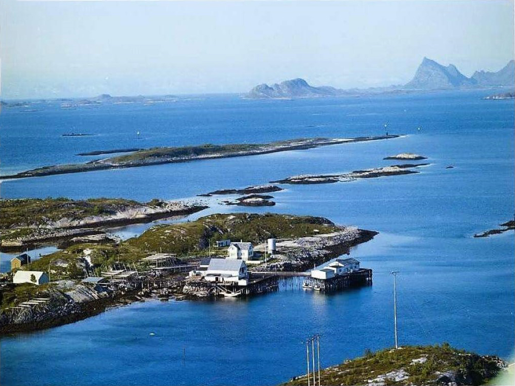 FB_IMG_1507986631738 (Medium)